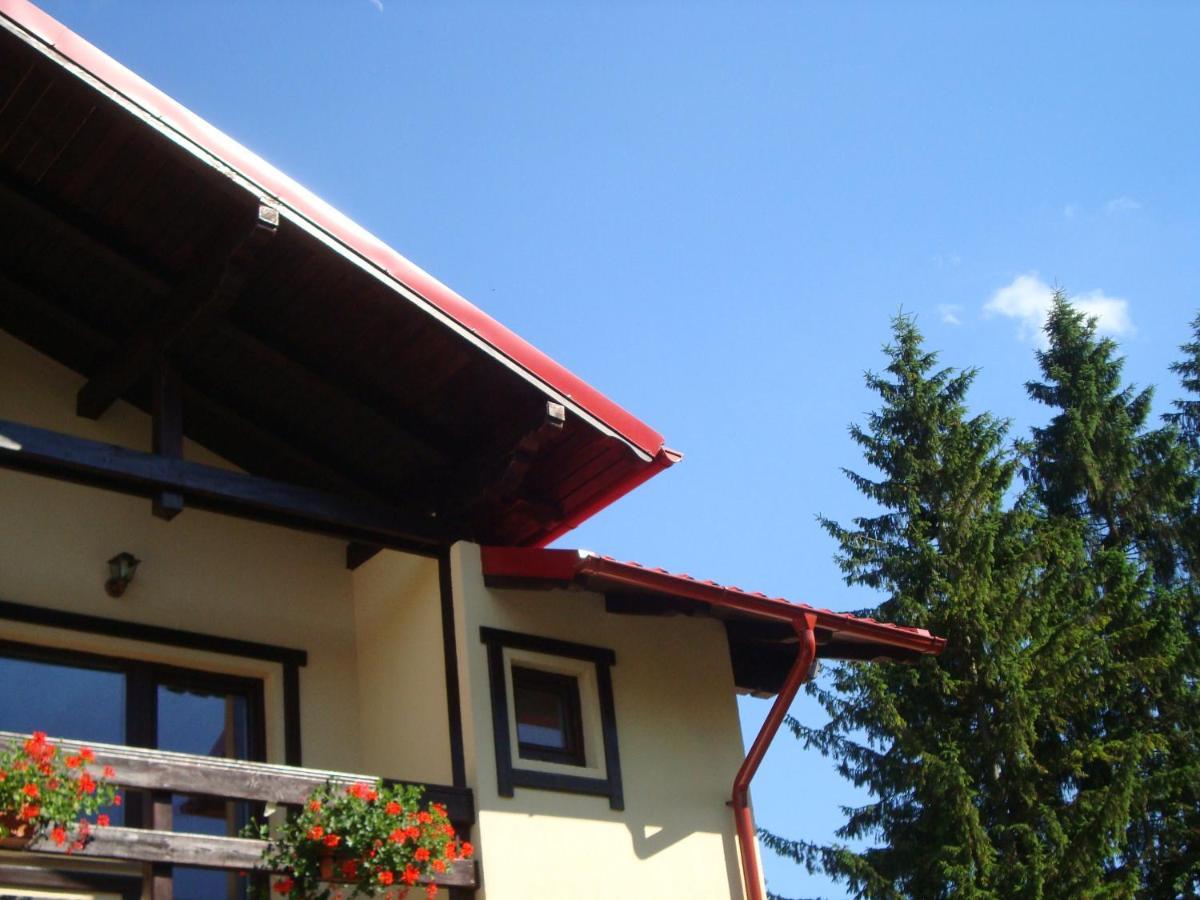 Casa Cu Flori Hotel Busteni Ngoại thất bức ảnh