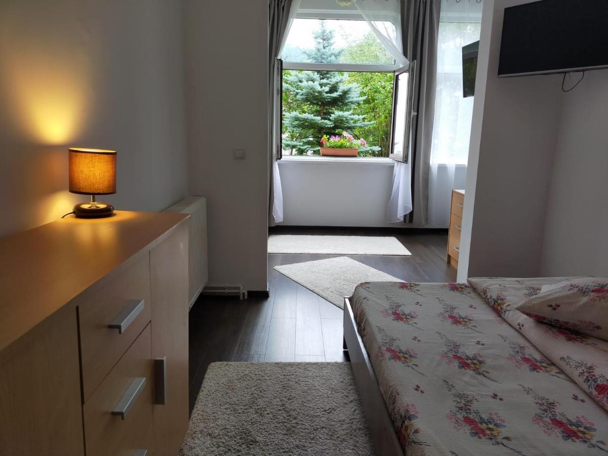 Casa Cu Flori Hotel Busteni Ngoại thất bức ảnh