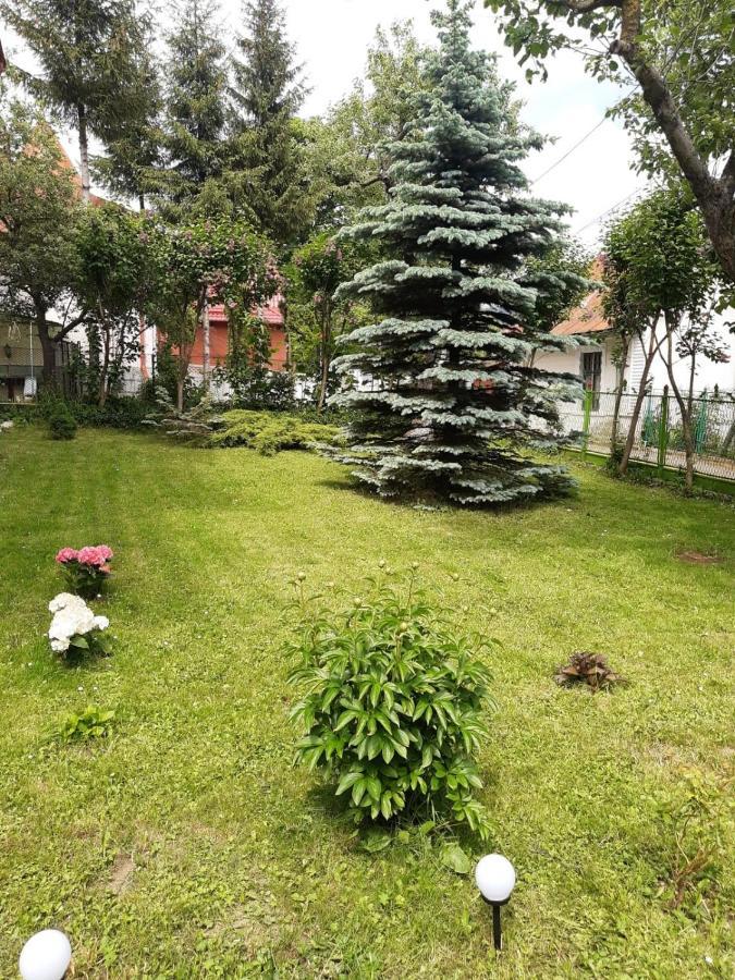 Casa Cu Flori Hotel Busteni Ngoại thất bức ảnh