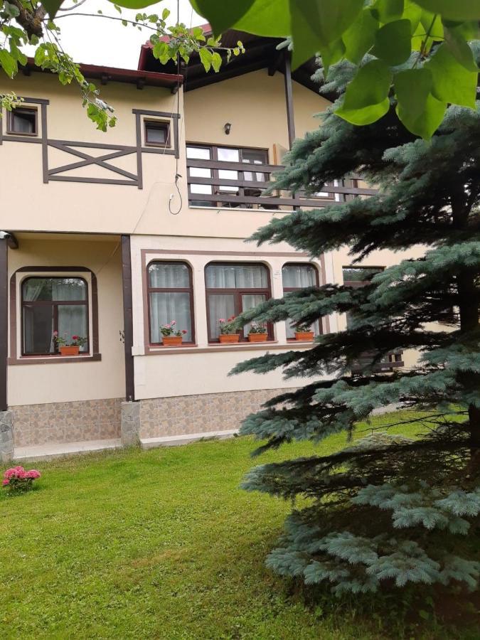 Casa Cu Flori Hotel Busteni Ngoại thất bức ảnh