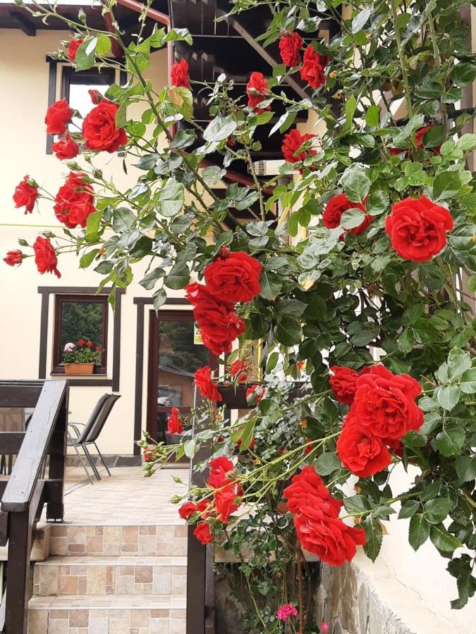 Casa Cu Flori Hotel Busteni Ngoại thất bức ảnh